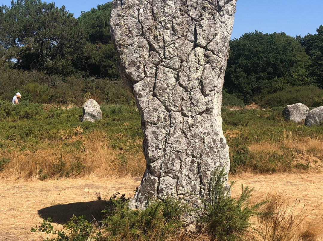 Megaliths of Carnac-卡纳克必去景点