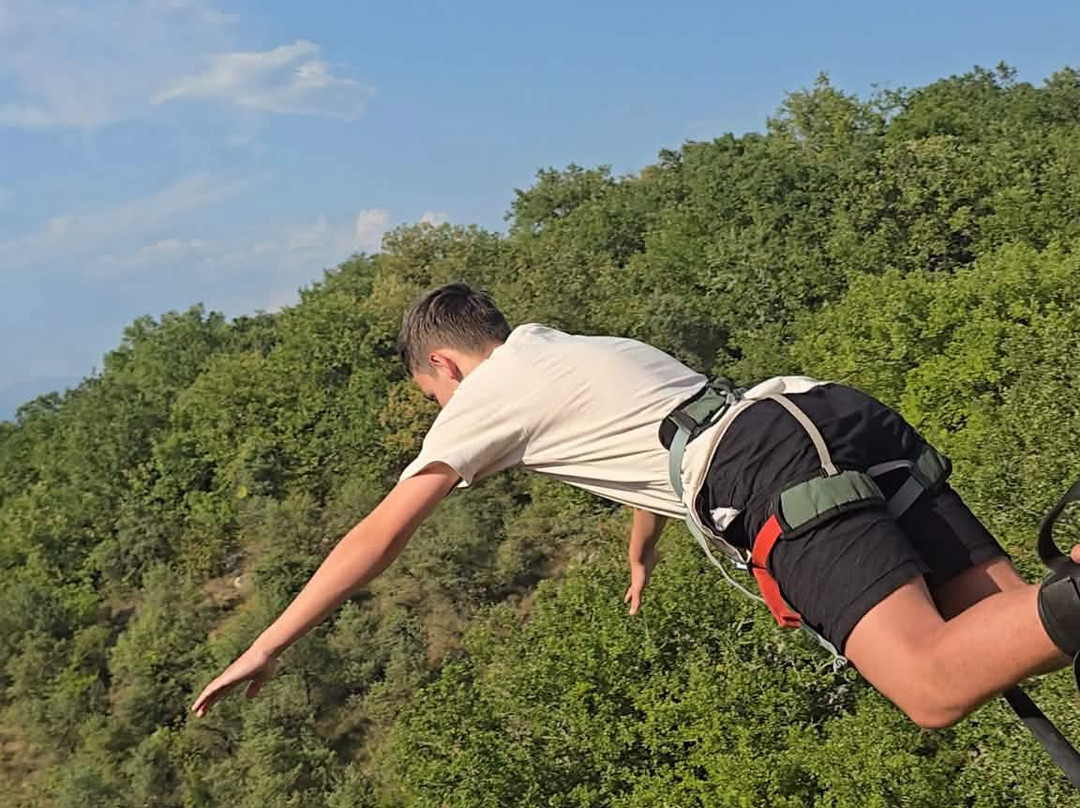 Elastic Crocodil Bungee