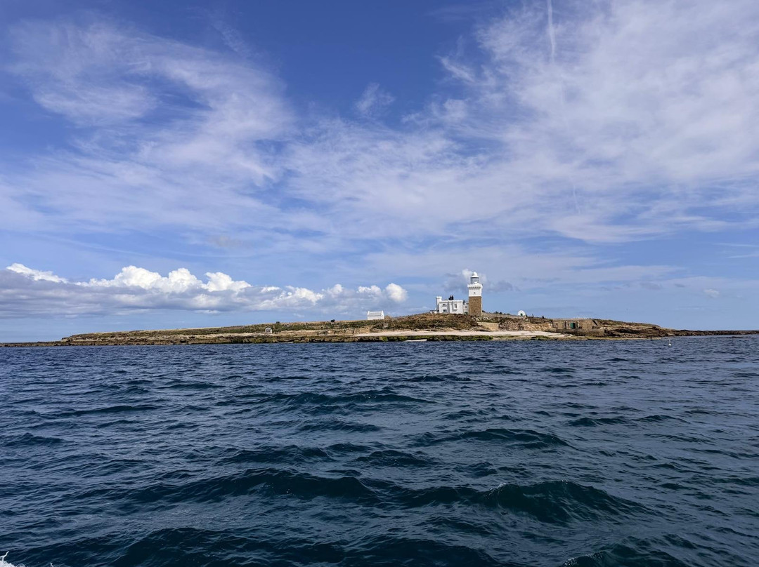 Amble boat trips-Amble必去景点