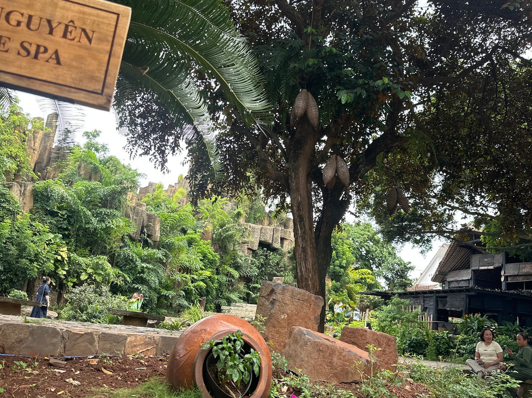 Trung Nguyen Village Coffee-托伯莫里必去景点