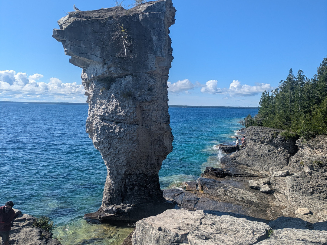Flowerpot Island-托伯莫里必去景点