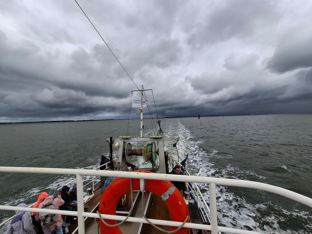 Expeditie Waddenzee-Ballum必去景点