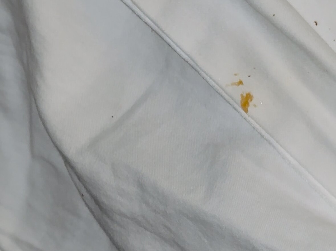 彭萨科拉海滩度假村主图
