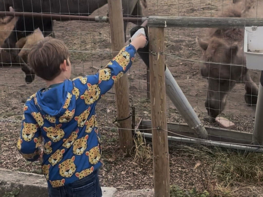Greenacres Animal Park-Deeside必去景点