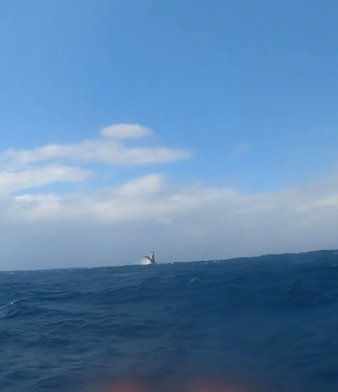 Pisces Diving Sodwana Bay-索德瓦纳必去景点