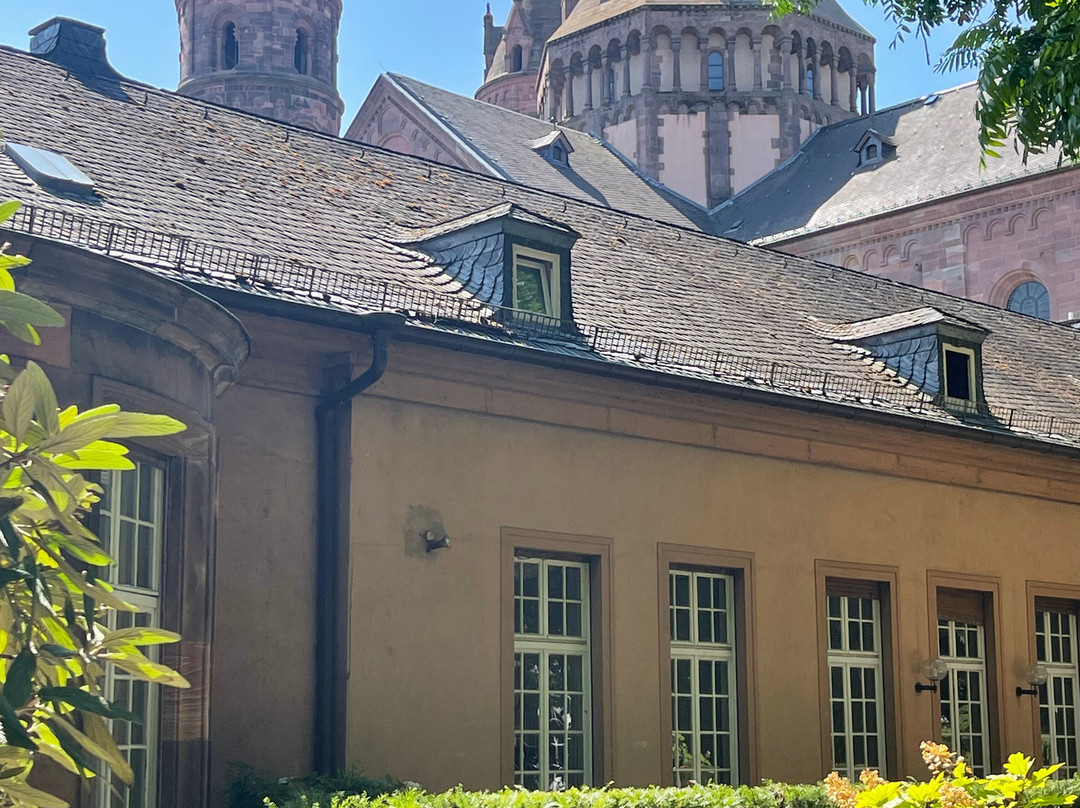 Weingut und Gästehaus Volker Schmitt主图