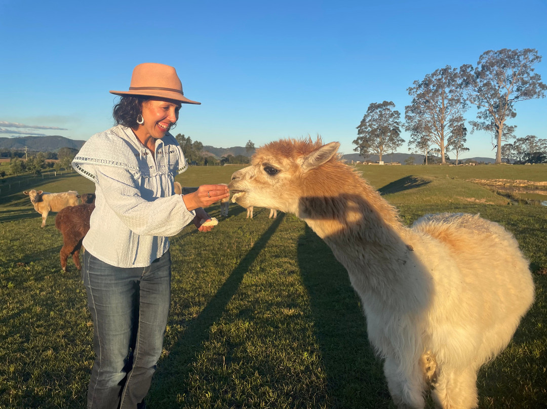 Gloucester River Wines-Gloucester必去景点