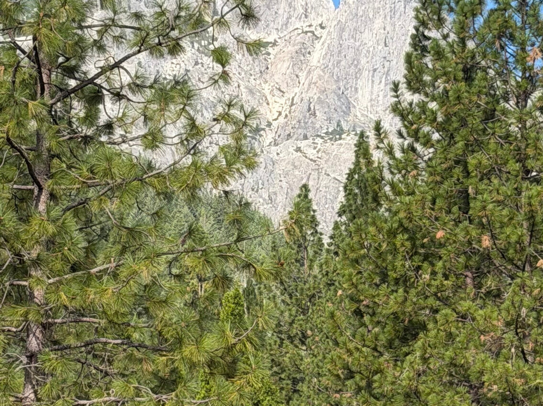 Jubilee Railroad Wilderness Lodge主图