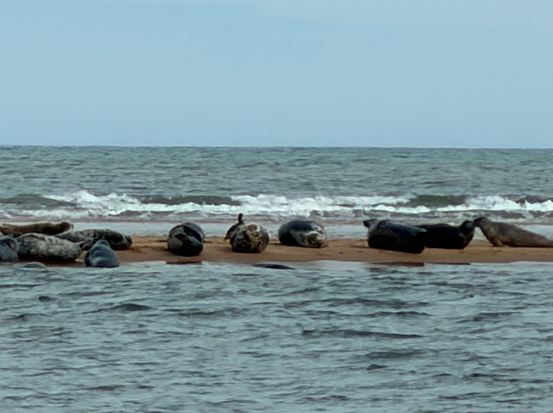 Newburgh Seals Beach-Newburgh必去景点