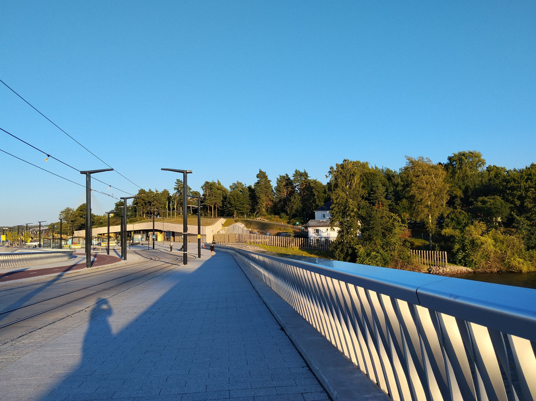 Korkeasaari Zoo-赫尔辛基必去景点
