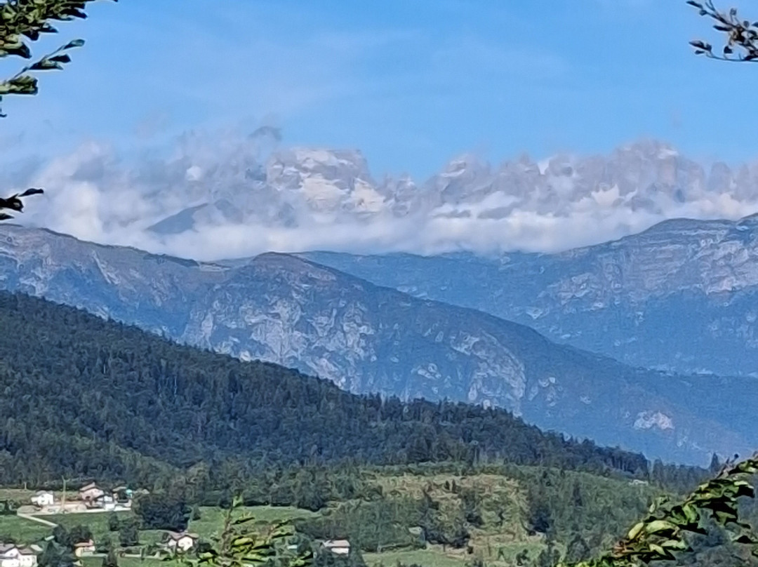 Il Respiro Degli Alberi-Lavarone必去景点