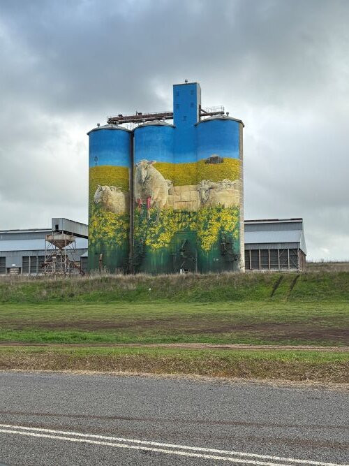Merriwa Silo Art-Merriwa必去景点