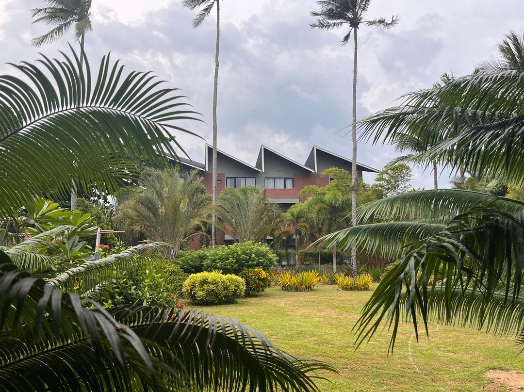 Nacpan Beach Resort主图