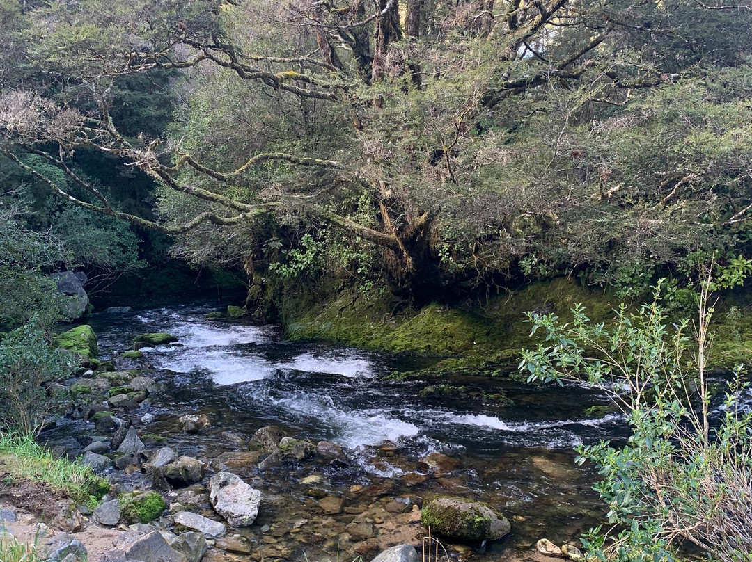 Riwaka Resurgence-Kahurangi National Park必去景点