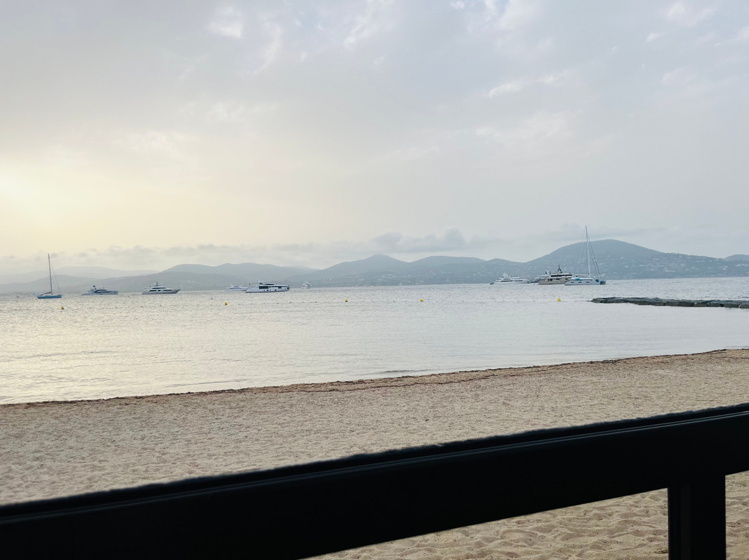 圣特罗佩斯餐馆和美食-Pearl Beach