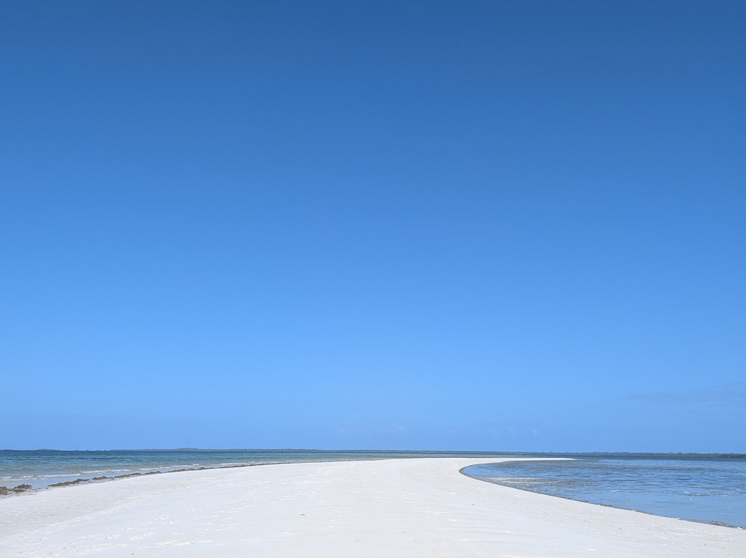 Safari Shwari Mafia Island-Utende必去景点