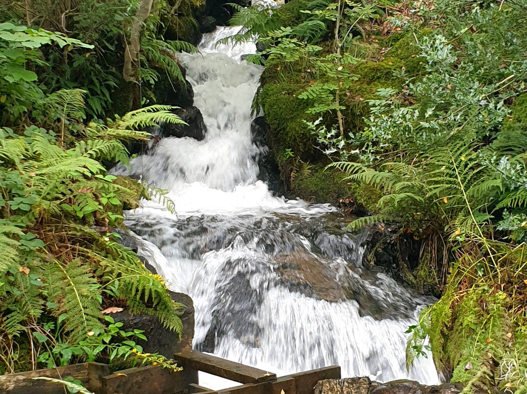 Eskdale Mill-Boot必去景点