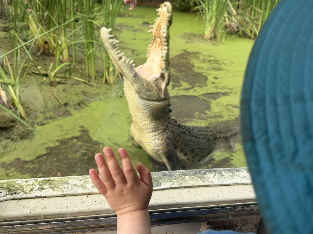 Hartley's Crocodile Adventures-Wangetti必去景点
