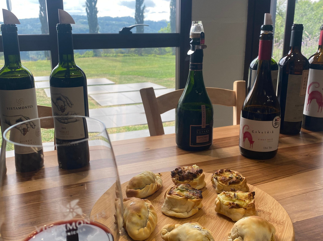 Vistamontes Vinicola-本图贡萨尔维斯必去景点