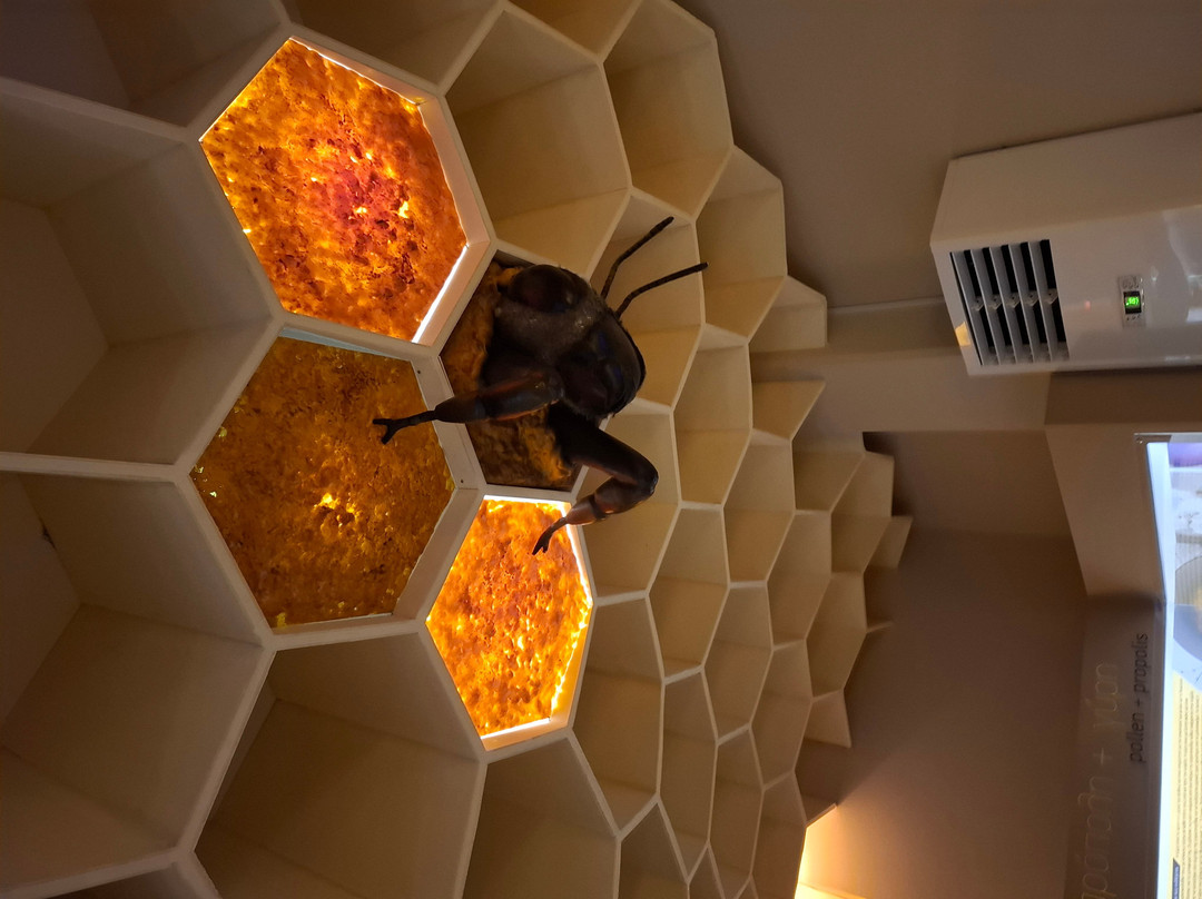 Bee Museum-Pastida必去景点