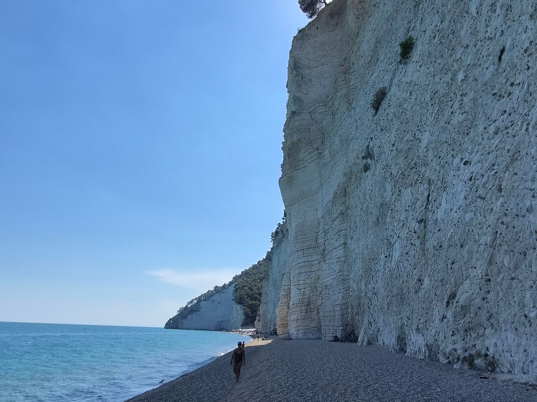 Spiaggia di Vignanotica-维耶斯泰必去景点