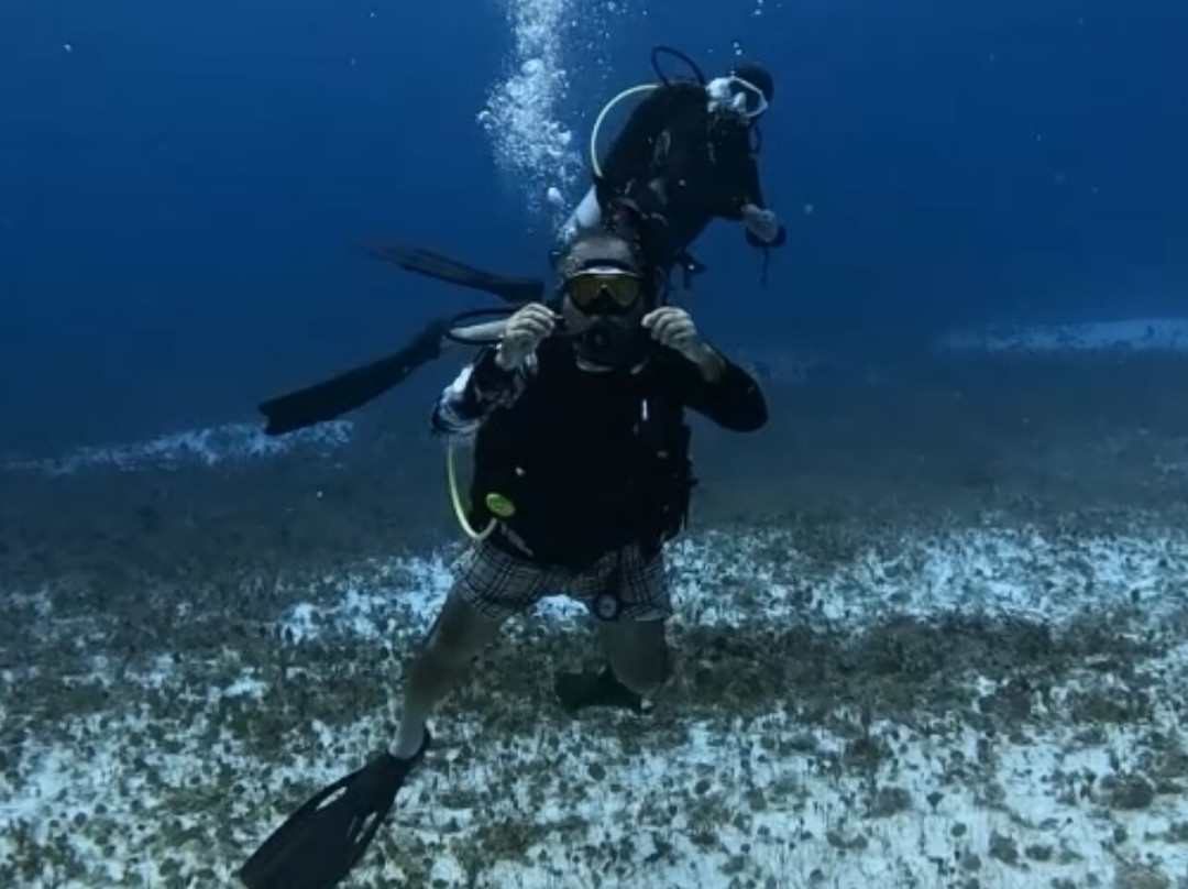 Scuba Life Cozumel-San Miguel de Cozumel必去景点