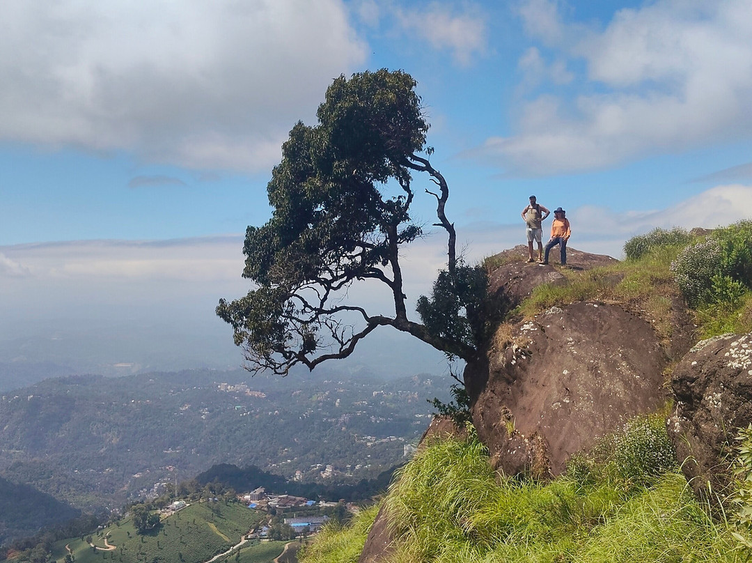 Munnar tea Green trekking adventure-慕那尔必去景点
