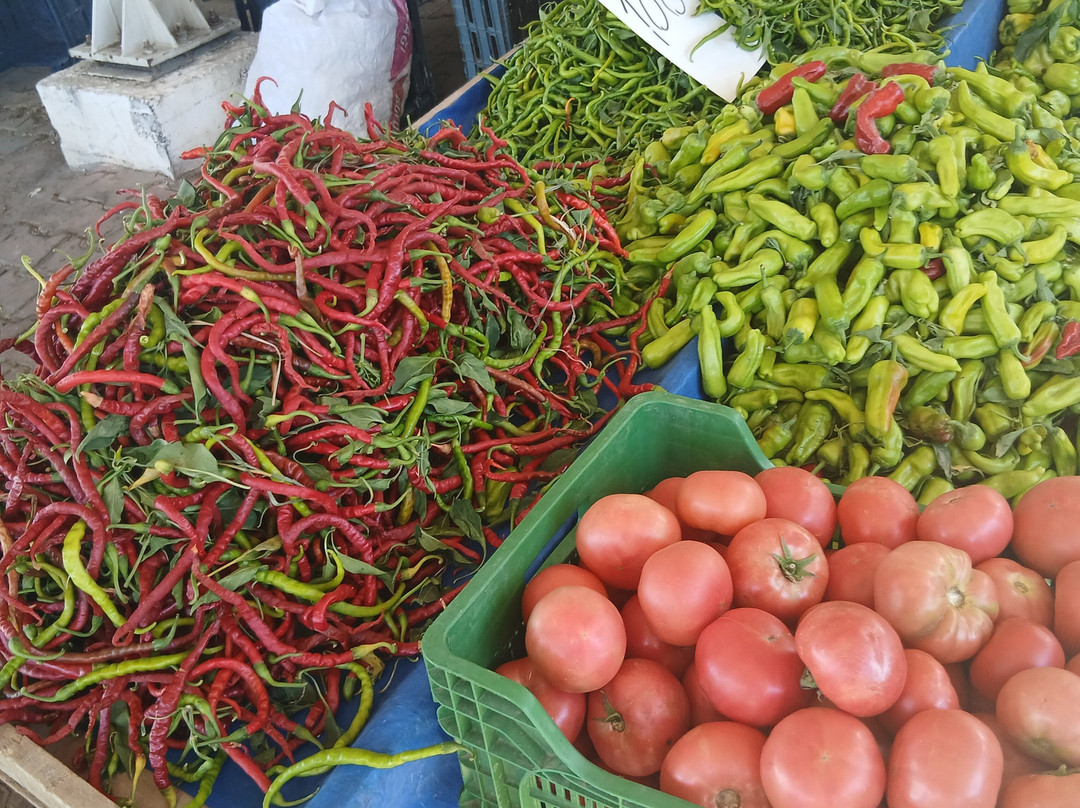 Karaağaç Pazarı-Ayvalik必去景点