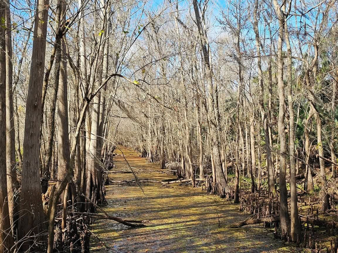 Black Bear Wilderness Area-桑福德必去景点