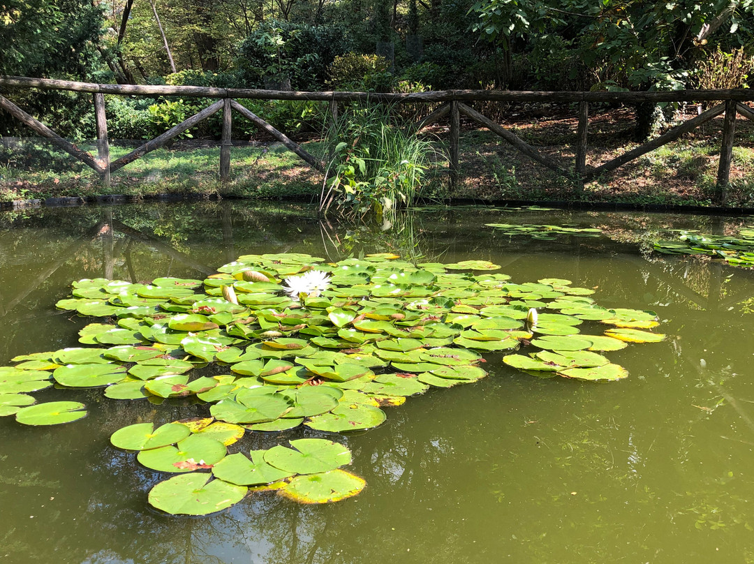 Isola dei Cipressi-Pusiano必去景点