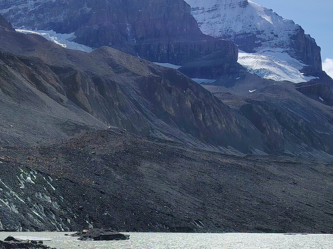 Athabasca Glacier-贾斯珀国家公园必去景点