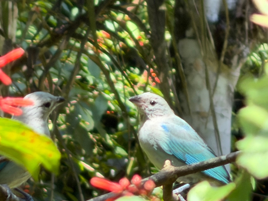 Dave & Dave's Costa Rica Nature Park-La Virgen必去景点