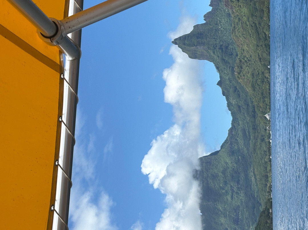 MOOREA TIKI TOUR-Cook's  Bay必去景点