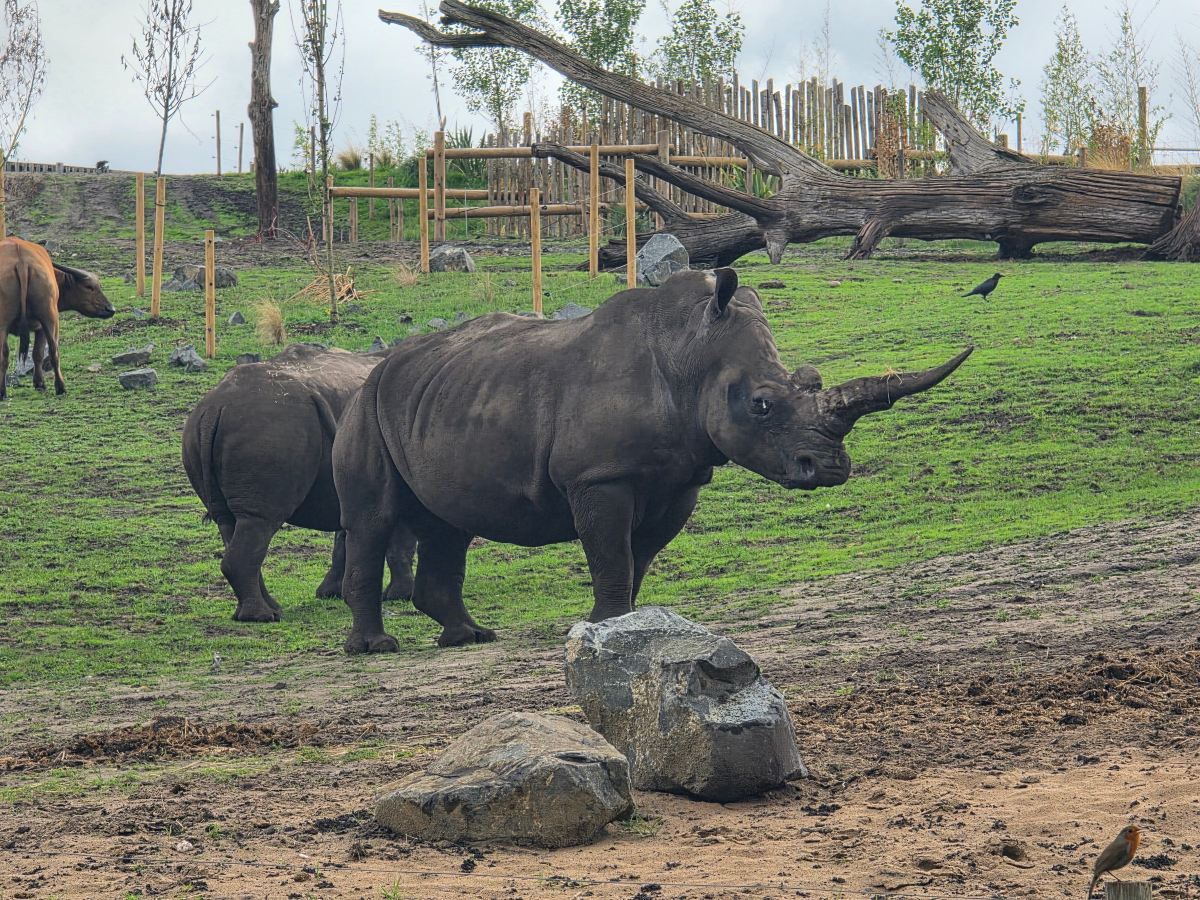 Safari Lodges At West Midlands Safari Park-酒店景观