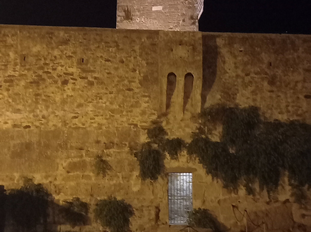 Castello di Populonia-Populonia必去景点