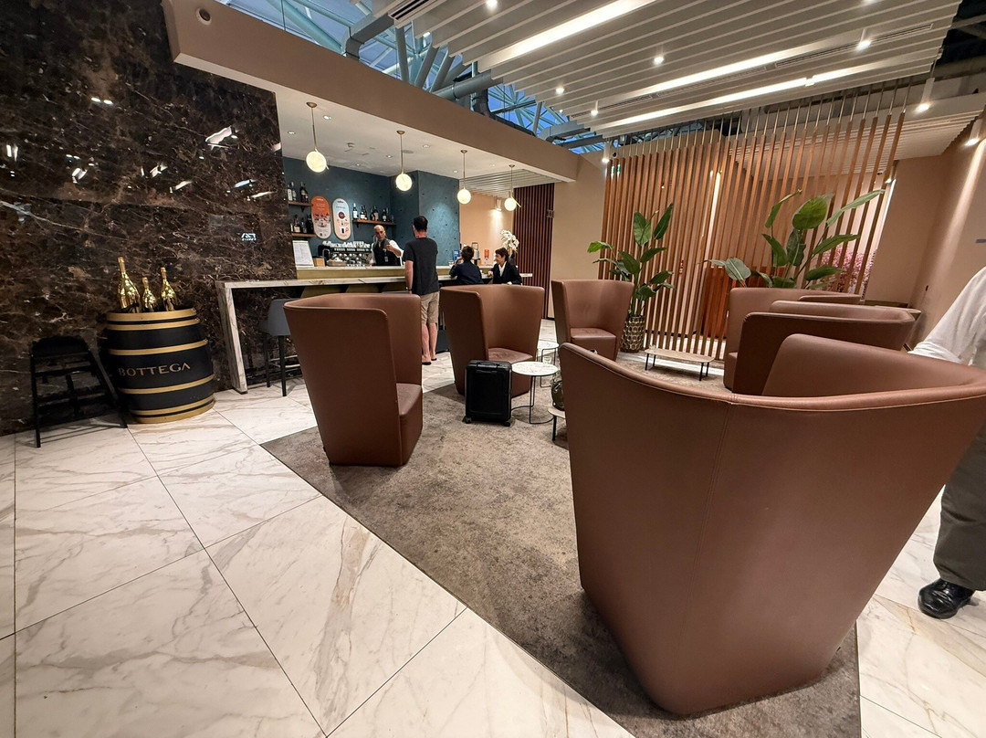 Plaza Premium Lounge (Schengen Area Departures Terminal 1)-菲乌米奇诺必去景点