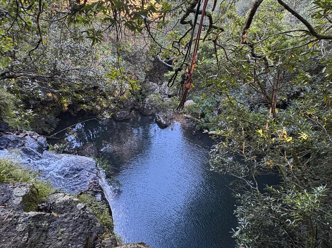 Tamarin Falls-Vacoas-Phoenix必去景点
