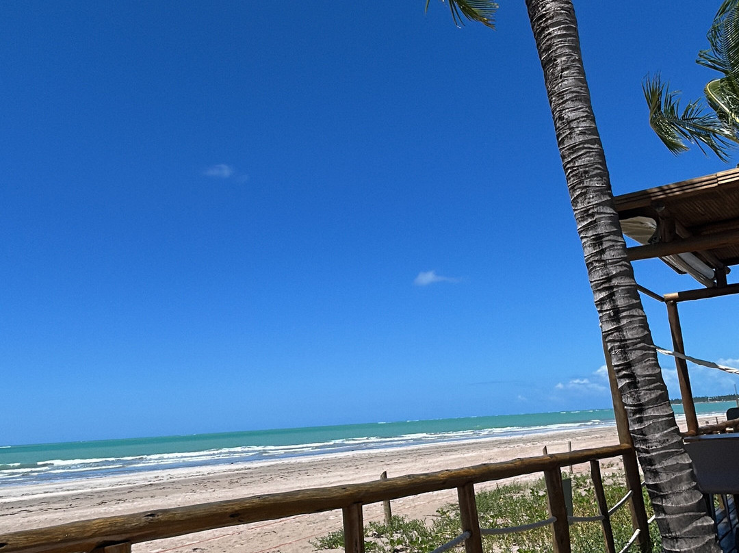 Hibiscus Beach Club-Maceio必去景点