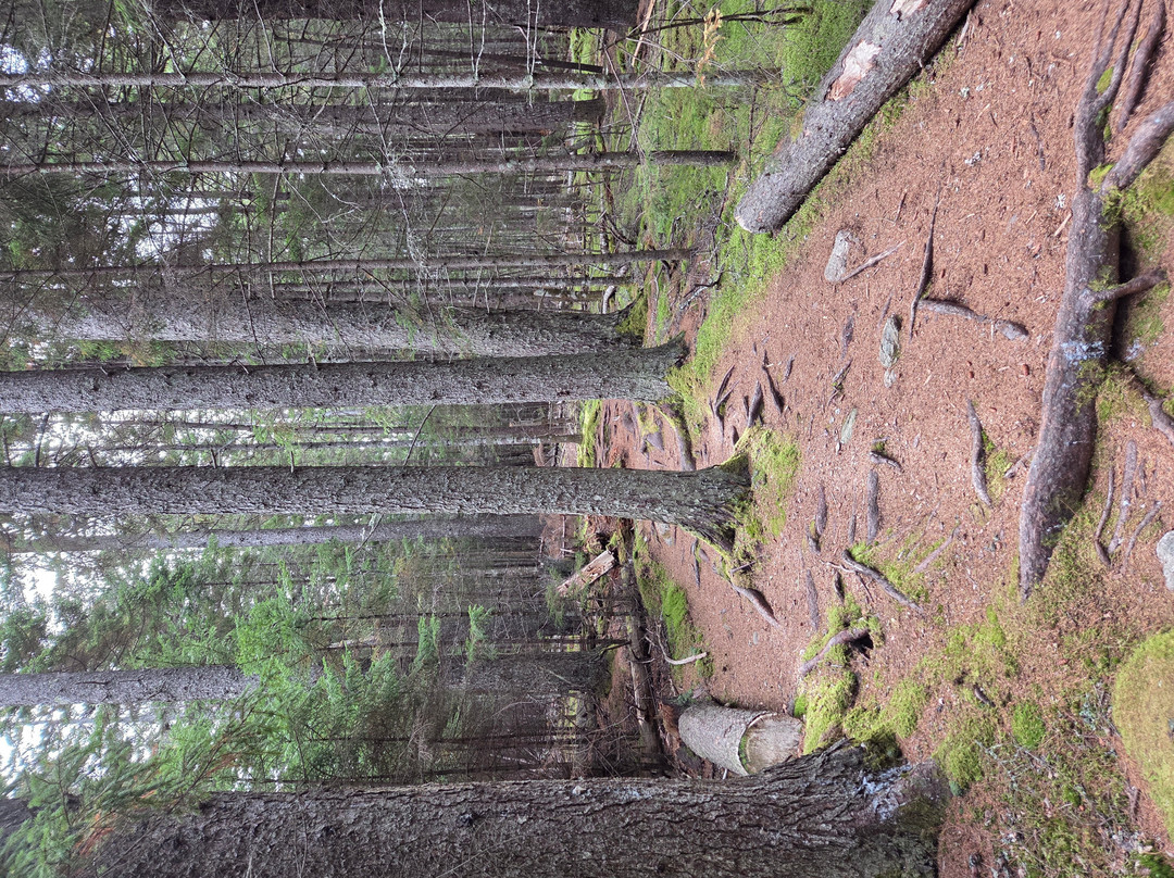 Indian Point Blagden Preserve-山漠岛必去景点