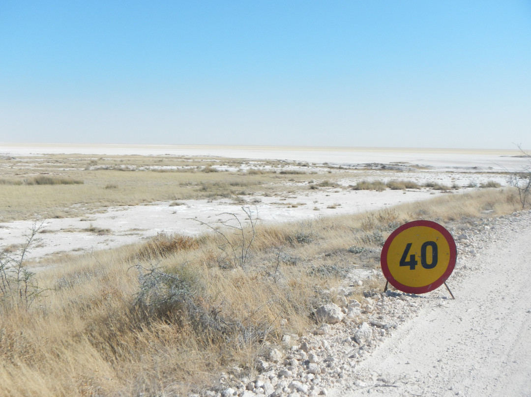 Etosha Pan-纳米比亚埃托沙国家公园必去景点