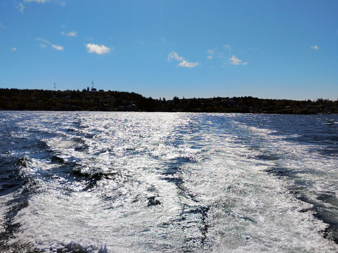 Hardy Boat Cruises-New Harbor必去景点