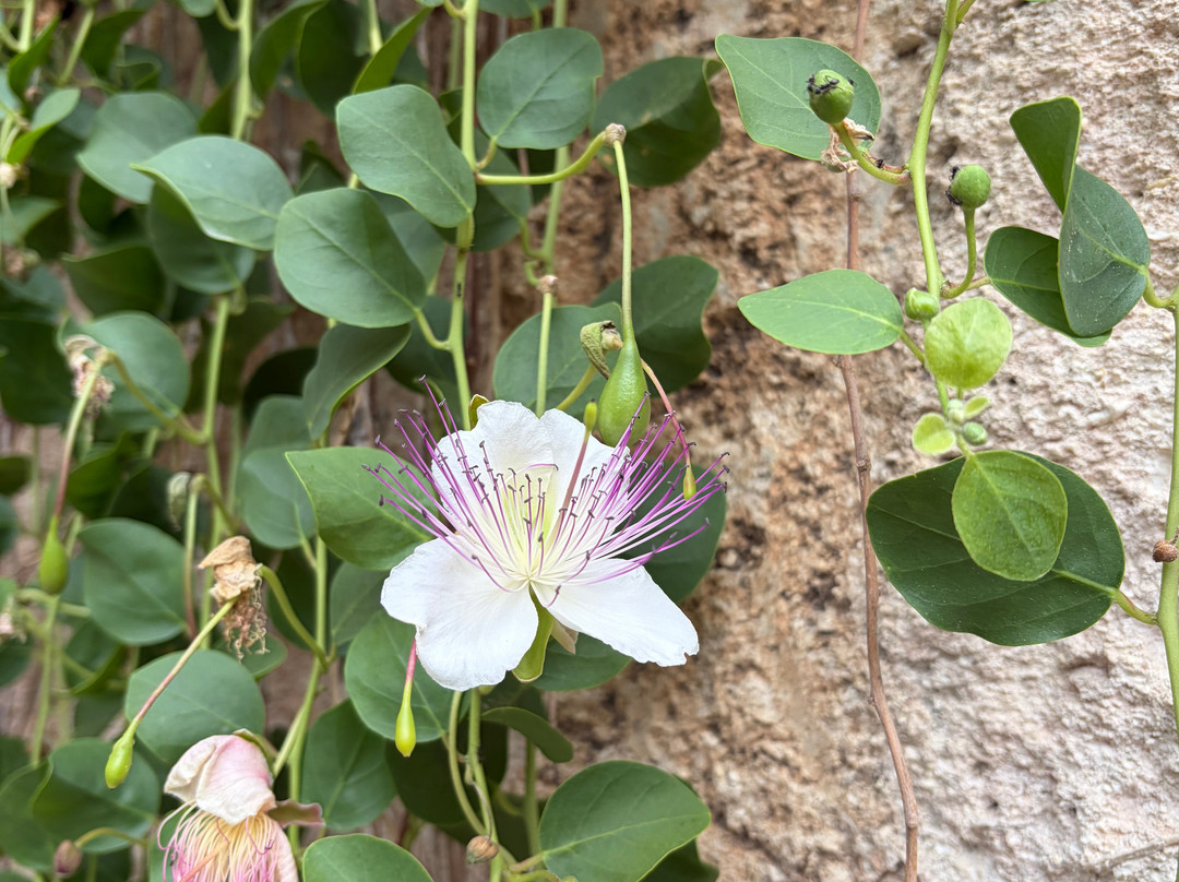 白色凯芙酒店主图