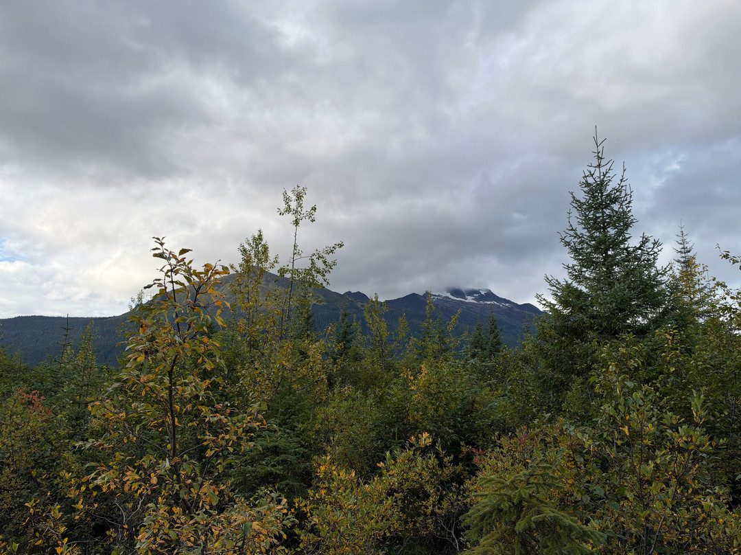 Mendenhall Glacier-朱诺必去景点