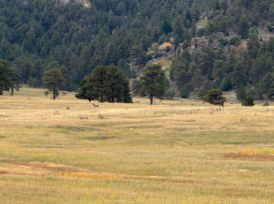 Elk Meadow Park-Evergreen必去景点