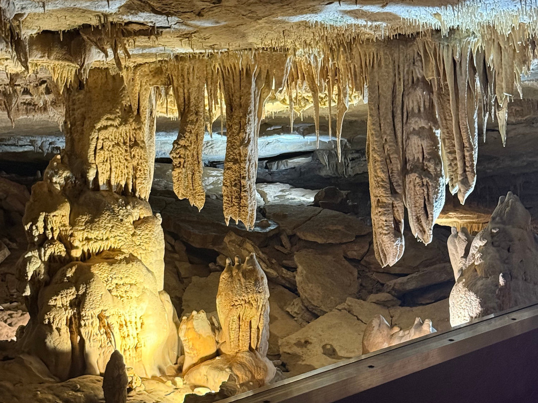 Fantastic Caverns-斯普林菲尔德必去景点