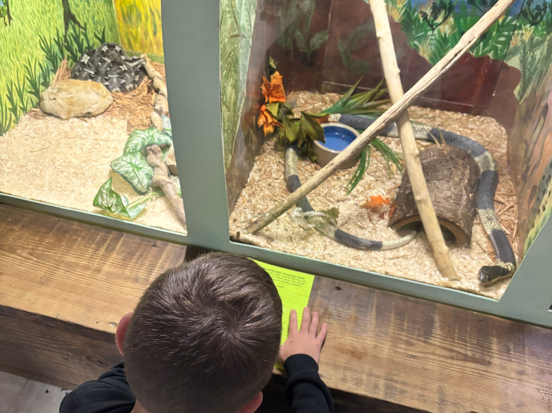 Kentucky Reptile Zoo-Slade必去景点
