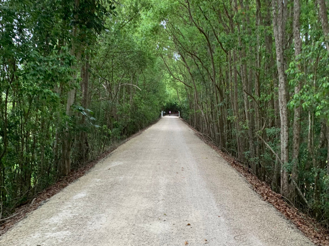 Northern Rivers Rail Trail-Murwillumbah必去景点