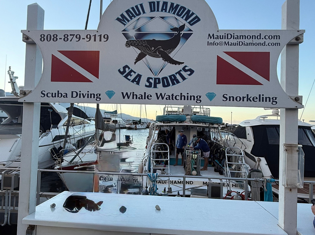 Maui Diamond Sea Sports-玛阿拉也亚必去景点