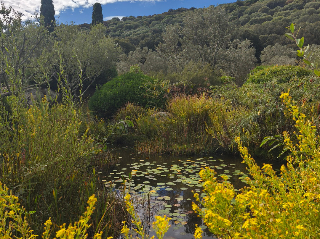 Parc de Saleccia-Ile Rousse必去景点