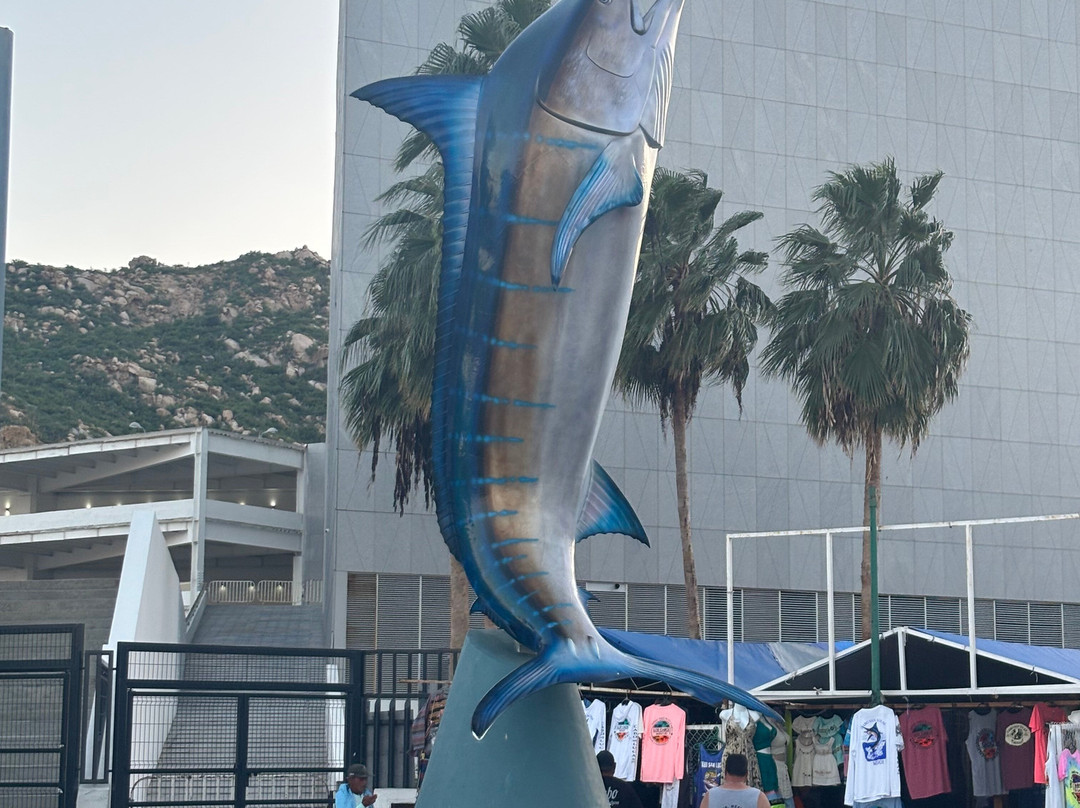 Marina Cabo San Lucas-卡波圣卢卡斯必去景点